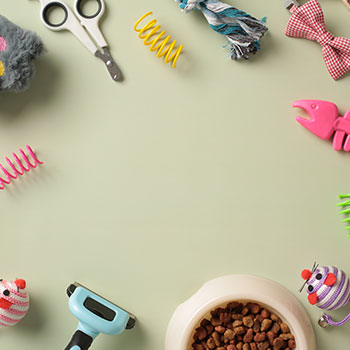 accessori-per-gatti