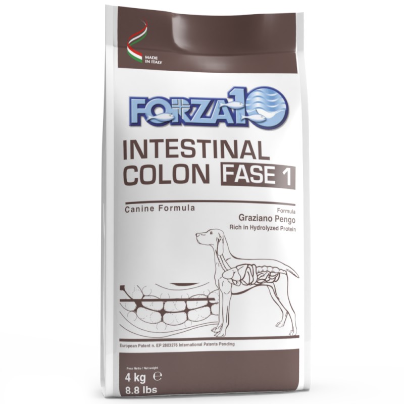 forza-10-dog-intestinal-colon-fase-1-4kg forza 10 dog intestinal colon fase 1 4kg