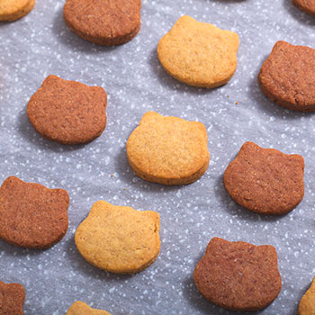 prodotti-di-pasticceria-gatti