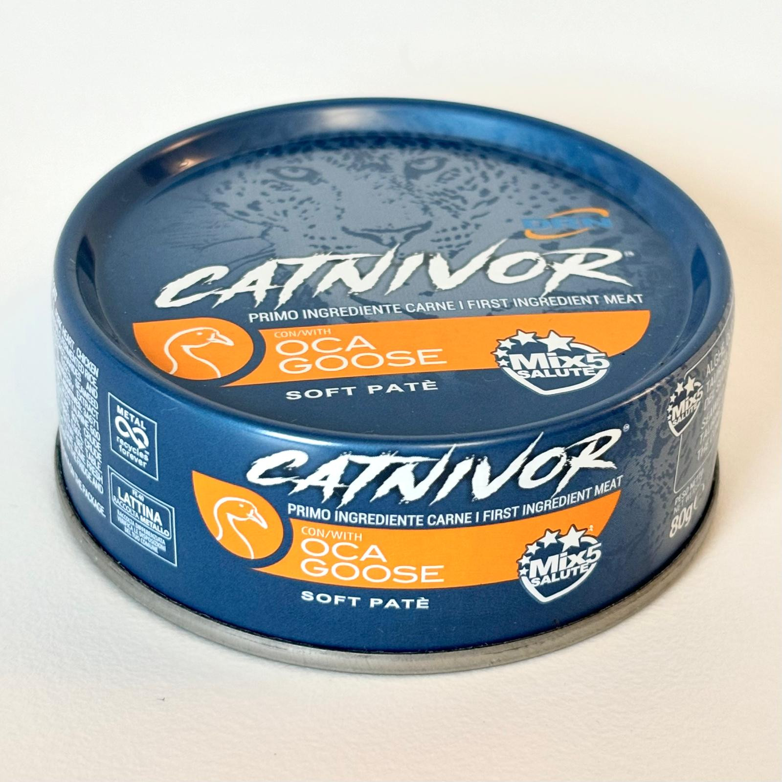 catnivor oca catnivor oca.