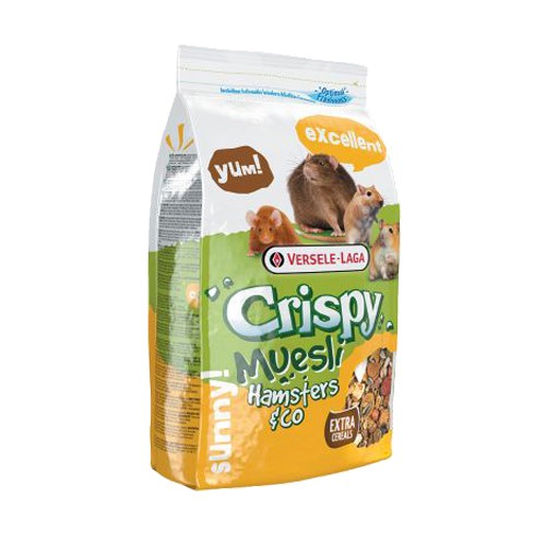 crispy muesli hamsters crispy muesli hamsters