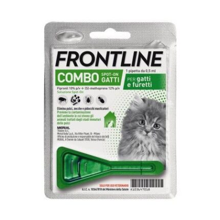 frontline gattini