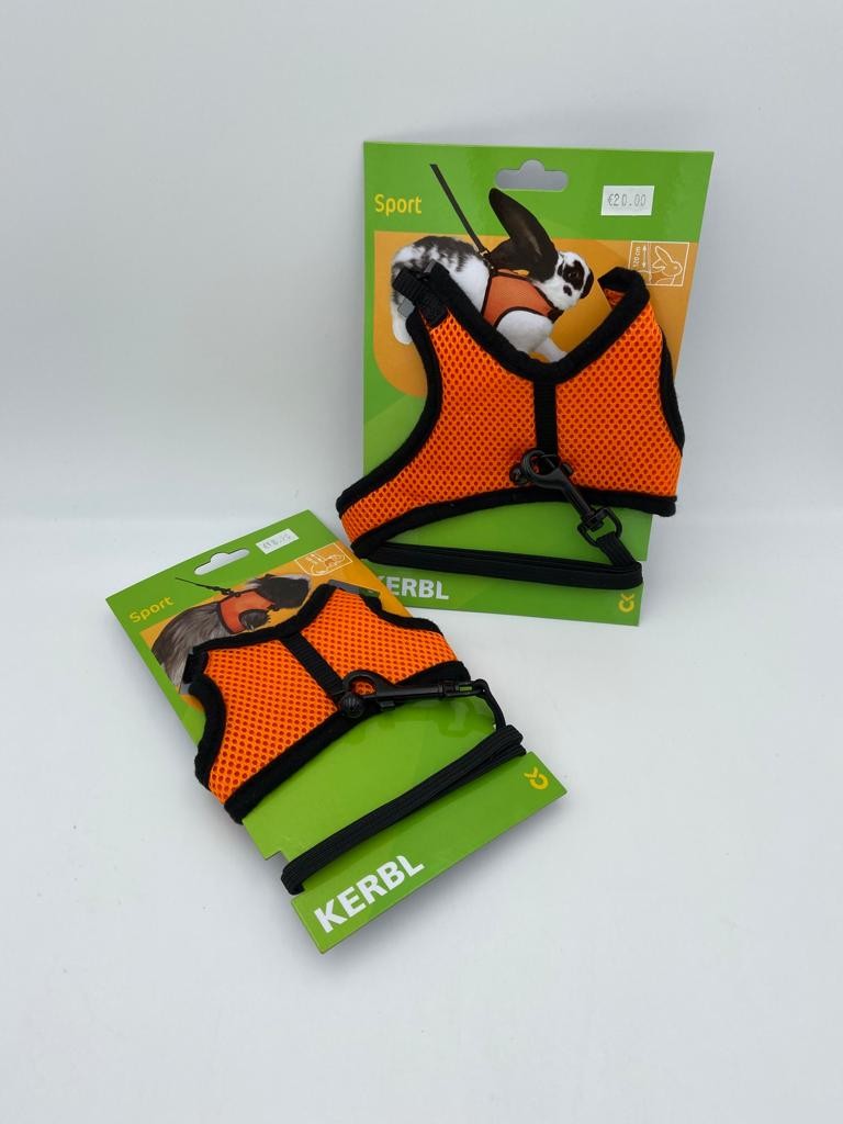 leopet pettorina sport roditori leopet pettorina sport roditori