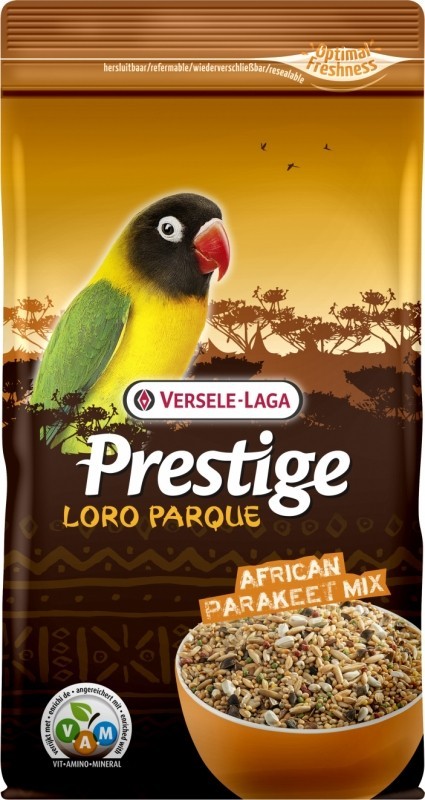 loro parque pappagalli africani.