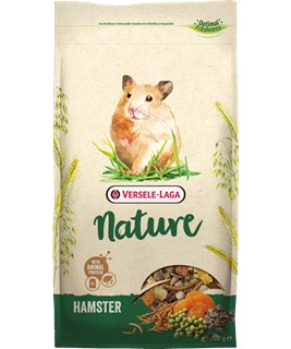 nature hamster