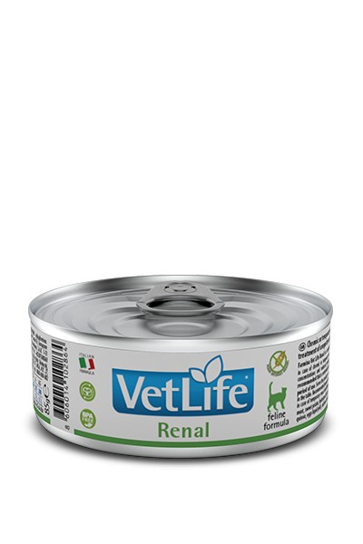 VETLIFE RENAL CAT 85 GR.
