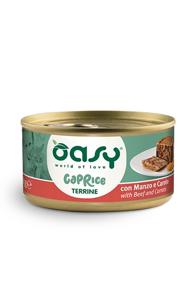 oasy terrine con manzo e carote.