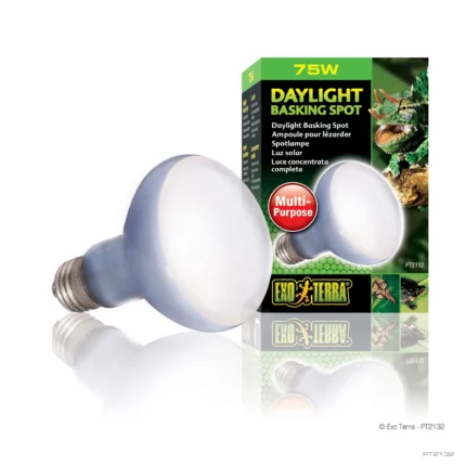 exo terra rettili lampada diurna 75W.