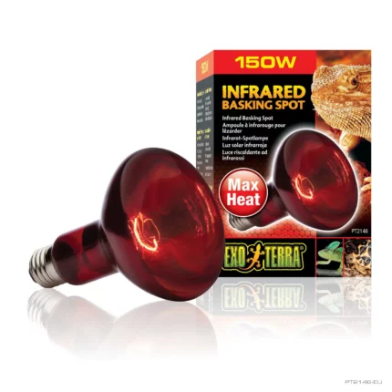 exo terra rettili lampada infrarossi 100w.