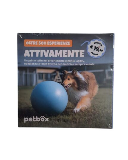 pet box attivamente