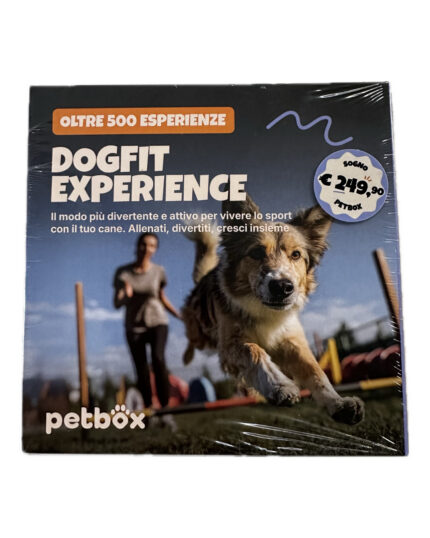 petbox dogfit experience.