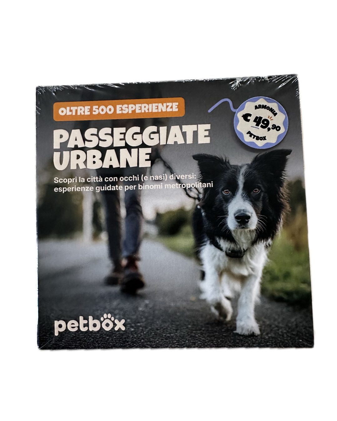 petbox passeggiate urbane petbox passeggiate urbane