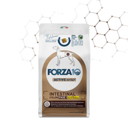 forza 10 dog intestinal colon fase 1 agnello kg. 10